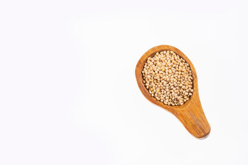 Healthy millet seeds in wooden spoon - Healthy food