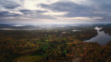 Morning fog over deep wild forest at sunrise aerial
