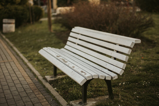 Small White Bench In A Park