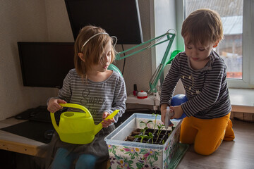 Little Caucasian children watering seedlings while sitting on the table