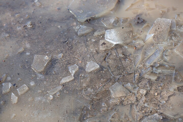 Green puddles on a spring morning in the village