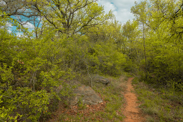 Lake state park, Brownwood Texas, nature landscape