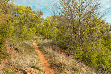 Fototapeta premium Lake state park, Brownwood Texas, nature landscape