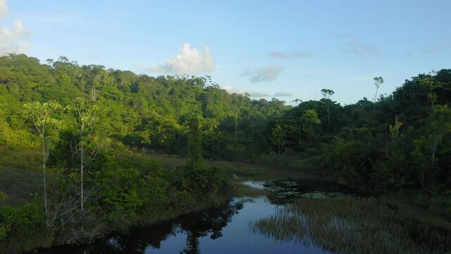 AERIAL PICTURE DRONE DJI MAVIC 2 PRO NATURE AMAPA POND AMAZON FOREST MORNING