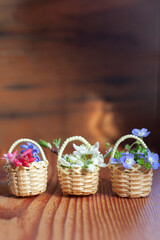 Fototapeta na wymiar Spring blue flowers in tiny basket