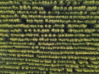Las Sierras en Uruguay.
