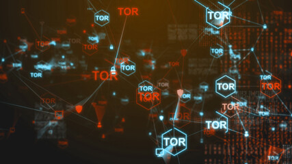 Tor anonymity network Internet privacy online data and identity protection - 3D Illustration Rendering © immimagery