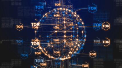 Tor anonymity network Internet privacy online data and identity protection - 3D Illustration Rendering © immimagery