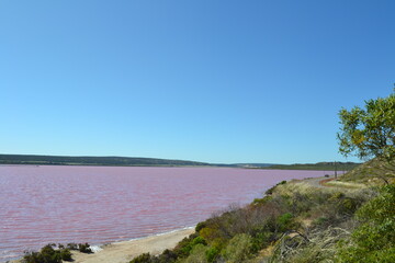 Fototapeta na wymiar Pink Lake Pt Gregory W Australia