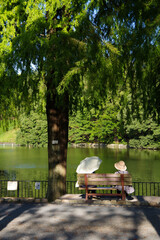 公園のベンチでくつろぐ人　自然豊かな公園