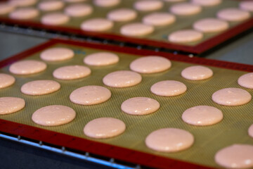 Cooking macaroons on stencil silicone mat.