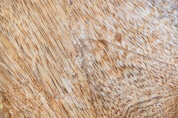 Brown color teak wood textured background