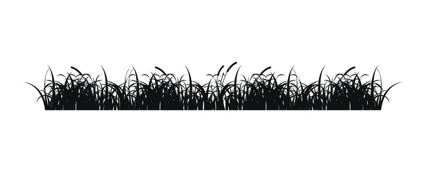 Black silhouette of meadow grass and ears of wheat on a white background. Vector illustration, flat minimal monochrome design, eps 10.