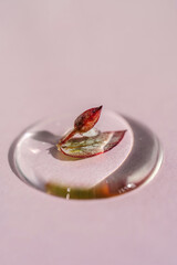 A drop of cosmetic gel with a leaf on a pink background.