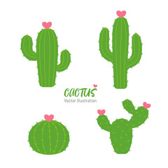 Cactus shaped plants that flower in the shape of a heart. The concept of lovers growing cactus.