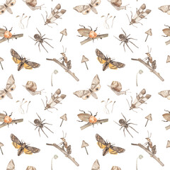 Watercolor seamless pattern with moths, ant, beetle, spider, snail, mushroom, branches on a white background