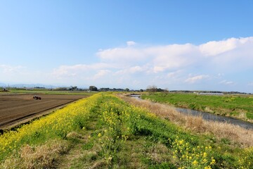 春の日　河川　のどかな　風景