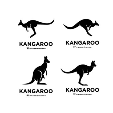 set collection kangaroo wallaby logo vector icon premium illustration