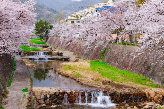 281 Best 芦屋市 Images Stock Photos Vectors Adobe Stock