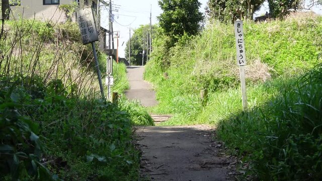 電車の走る風景　千葉県　小湊鉄道　春のイメージ　　　「きしゃちゅうい」「踏切　左右確認」の看板