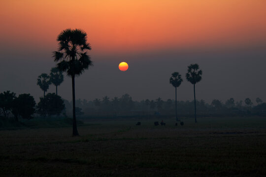 The beautiful sunset images taken in Rural India.