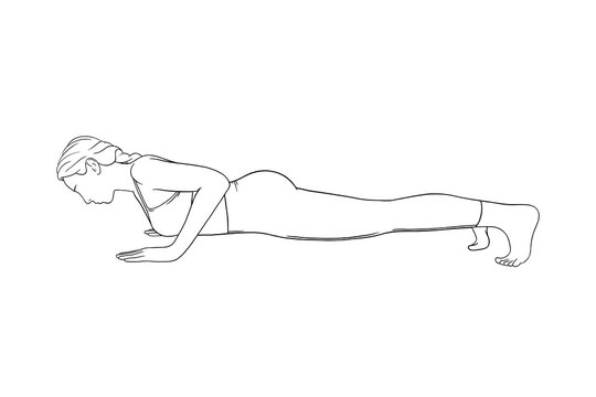 Woman in vinyasa or low plank pose. Yogi woman training her body muscles. Sketch vector illustration in white background