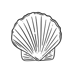 Scallop shell logo. Seashell with a pearl or ready for cooking. Vector illustration isolated in white background