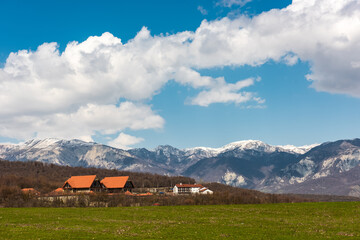 Fototapety na wymiar - Fototapeta24.pl