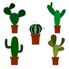 A set of cacti, green cacti in a pot. Vector isolated on a white background.