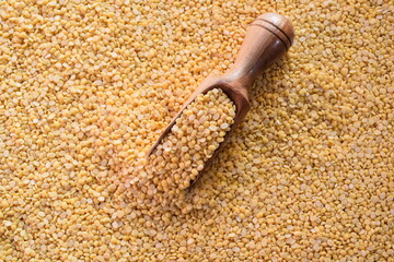 Raw yellow color dried split Mung lentils