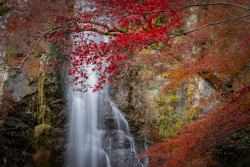Fototapeta na wymiar Waterfall in Autumn