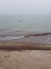 Sandy coast of the blue sea