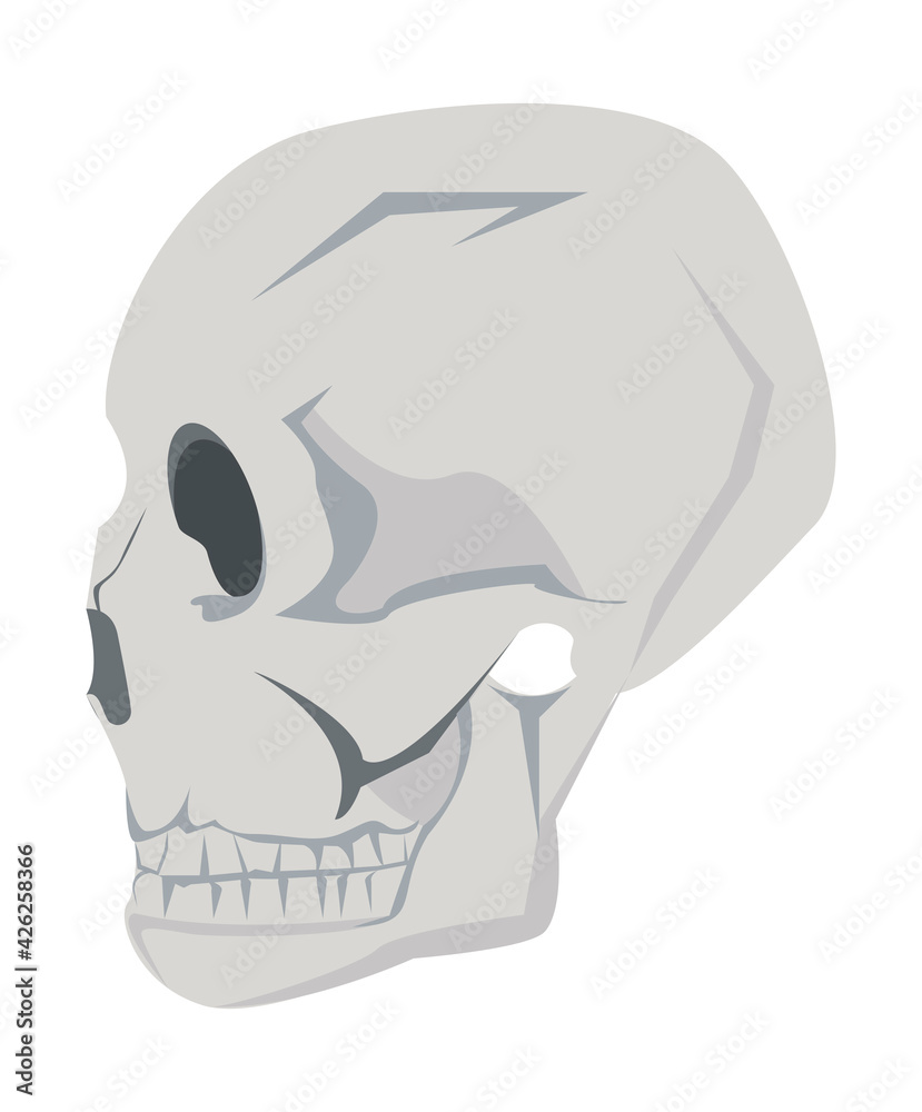 Sticker profile head skull