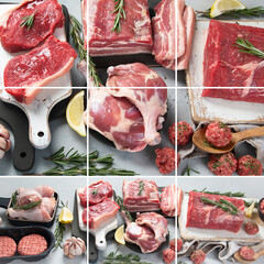 Collage of different type of raw meat