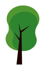 tree plant icon