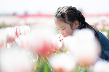 チューリップの香りを嗅ぐ少女