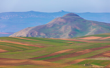 Plowed fields in spring with a condensed perspective