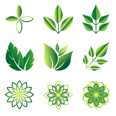 Icons set of green leaves