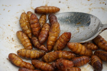 Fried Silk Worms