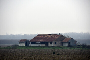 shot of an abandoned wooden farm in fog