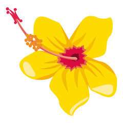 yellow tropical flower