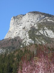 Fototapeta na wymiar Montagne de chartreuse - Roche Veyrand