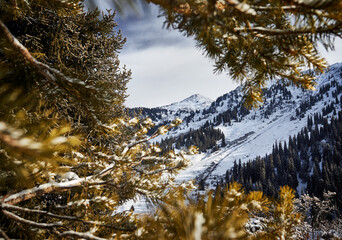 Beautiful landscape of the snowy mountains