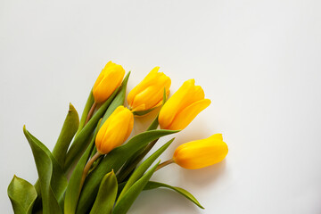 Five yellow tulips on white background. Isolated. Copy space.