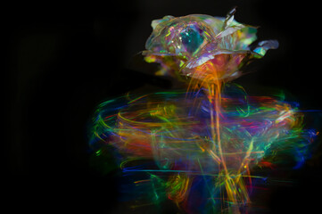 Blurred crystal glass roses on colored light background in black backdrop.