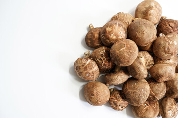 Fresh shiitake mushroom isolated,Dried mushrooms on white background