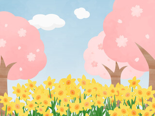 桜と水仙（黄）と青空の背景
