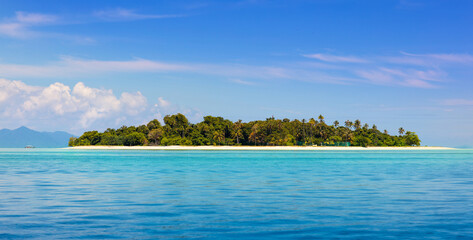 Fototapeta na wymiar Tropical island with coconut palm. Beach fun.