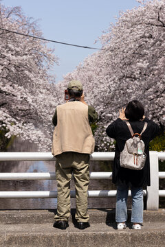 228 Best 夫婦円満 Images Stock Photos Vectors Adobe Stock