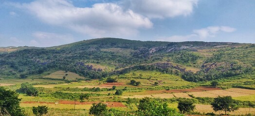 Fototapeta na wymiar Beautiful landscape about terraced rice field in Deomali,India.